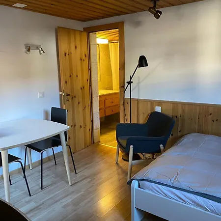 Apartment Casa Maruna Flims